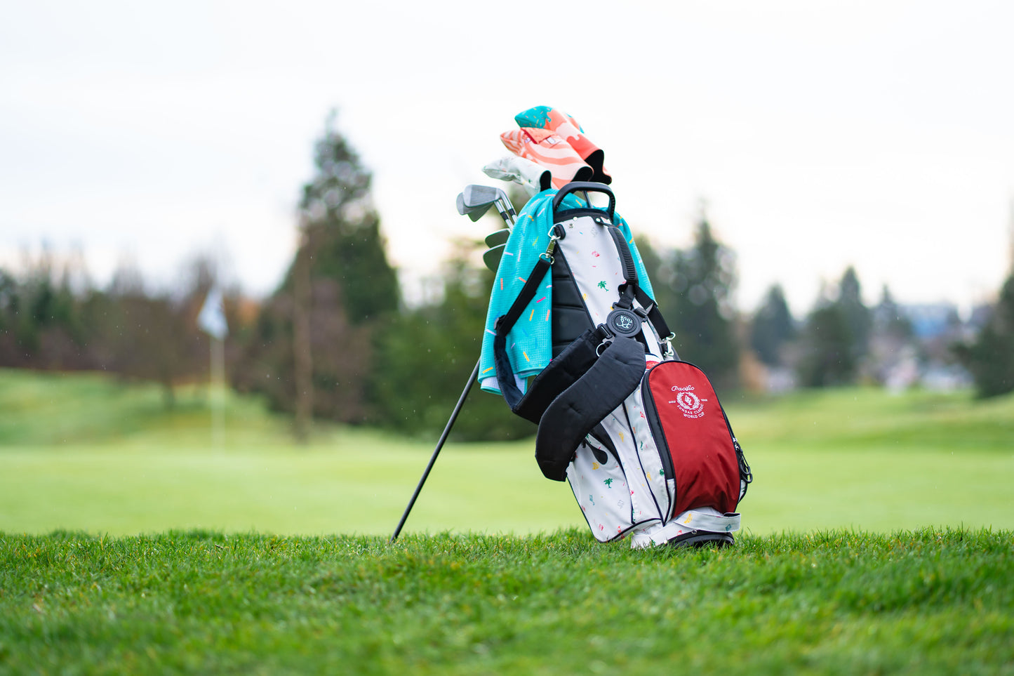 Sundae World Cup Headcover Set