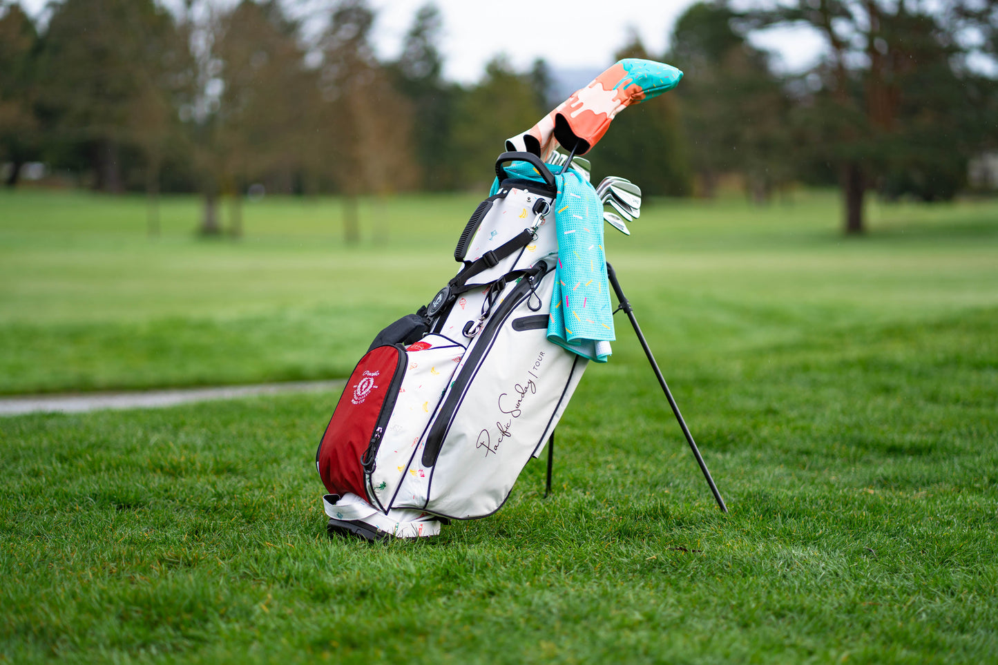 Sundae World Cup Bag