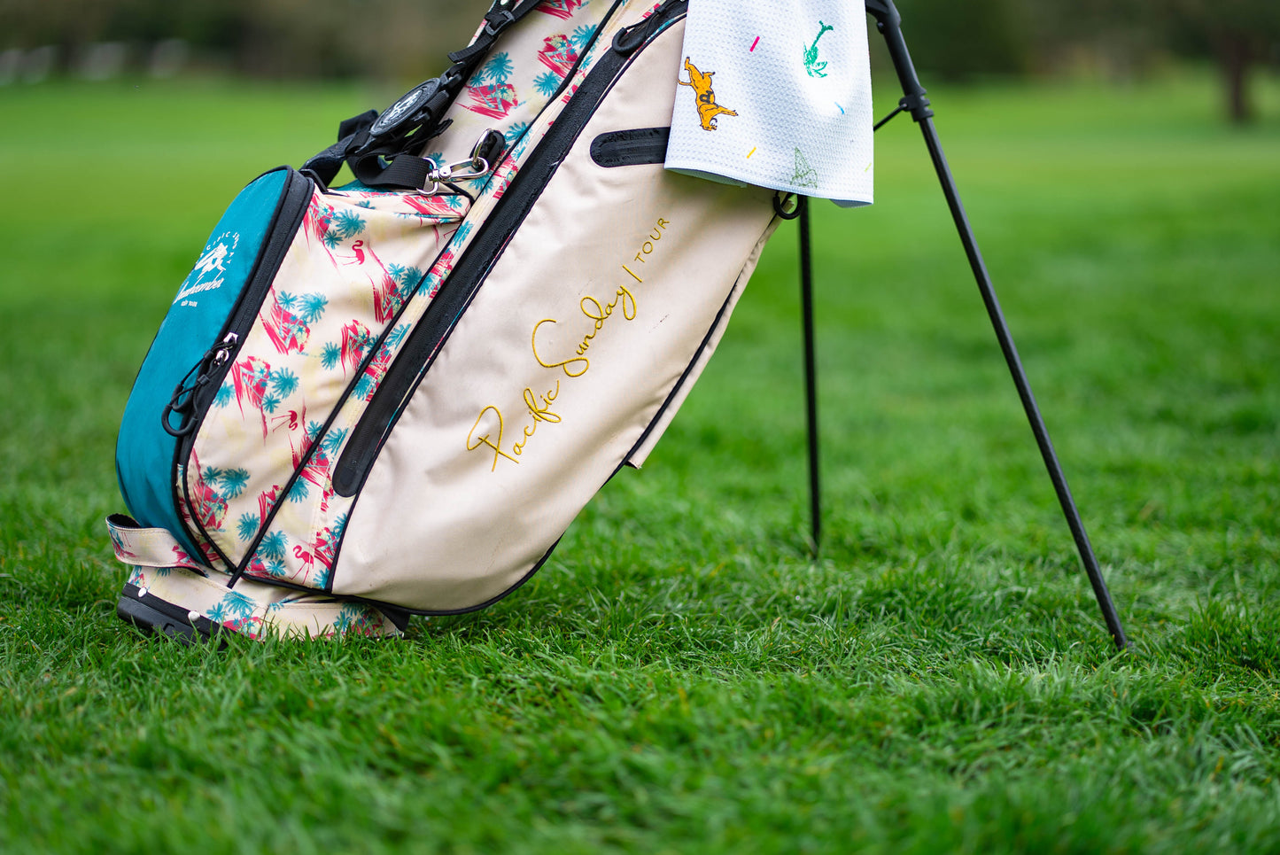 Beachcomber Bag
