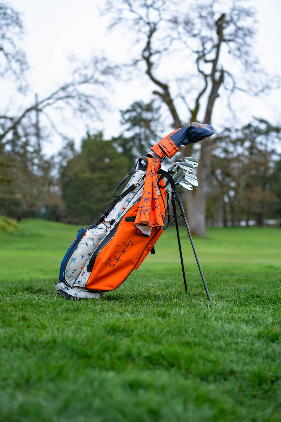 Hockey Night Golf Bag
