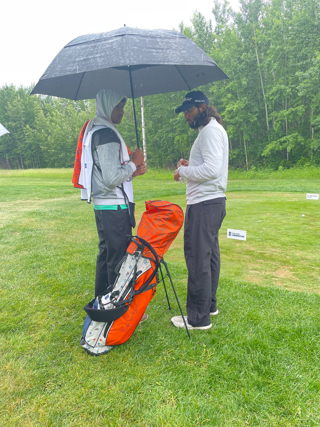 Hockey Night Golf Bag